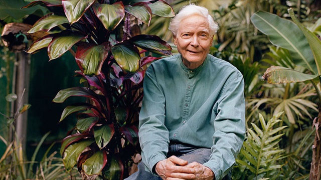 “Nơi chốn” – W. S. Merwin | Nguyễn Huy Hoàng