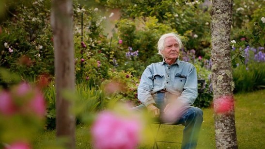 ws merwin.jpg