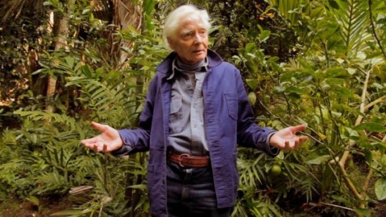 W.S. Merwin: To Plant a Tree