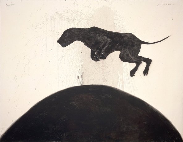 Downhill on a Forest Road.jpg