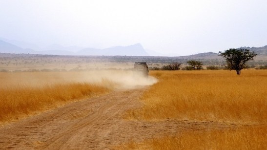dust road.jpg
