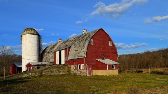 barn.jpg