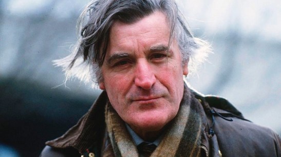 ted hughes.jpg