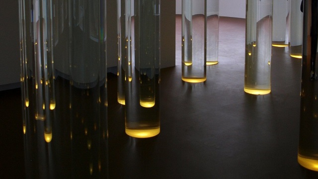 The Library of Water.jpg