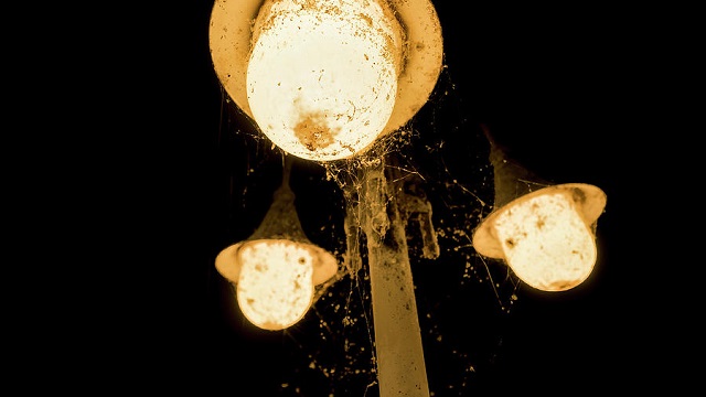 light-post.jpg