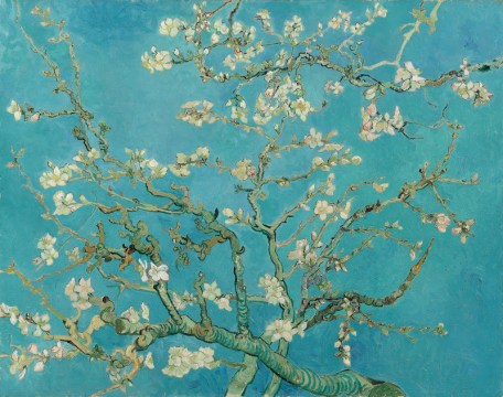 Almond Blossom.jpg
