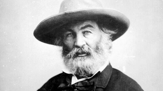 whitman.jpg
