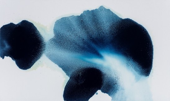 ambiguous flower.jpg