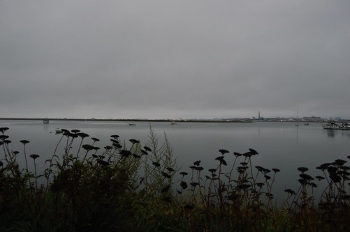 overcast morning.jpg