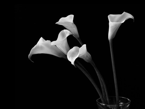 robert mapplethorpe.jpg