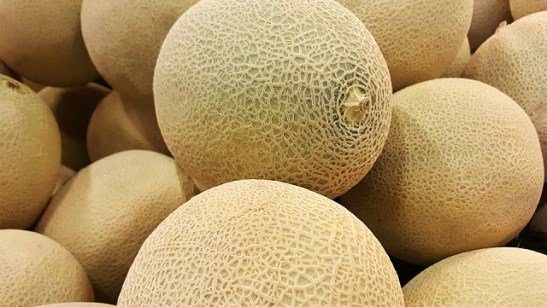 melon