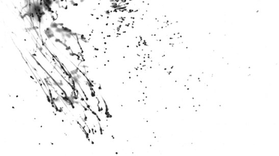 Wilton 59463 910 x 710